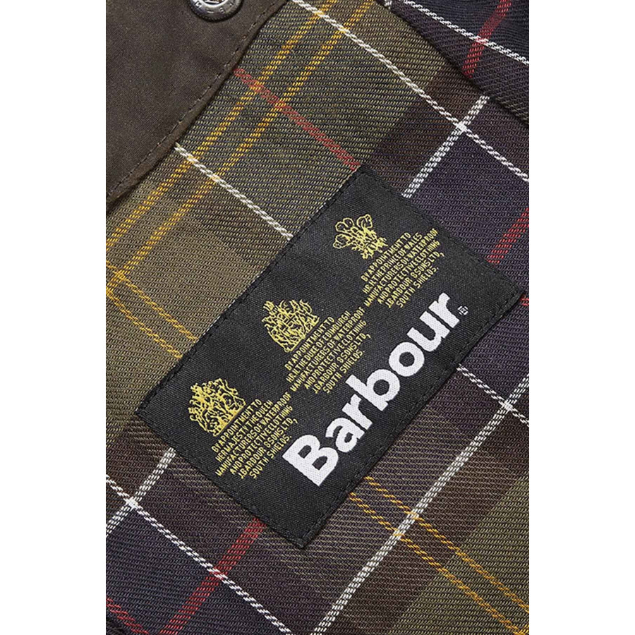 Interno del cappuccio Olive