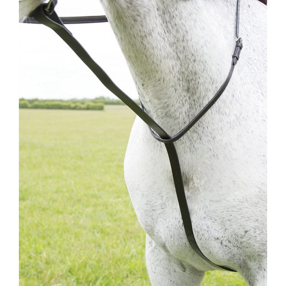 Martingala fissa larga