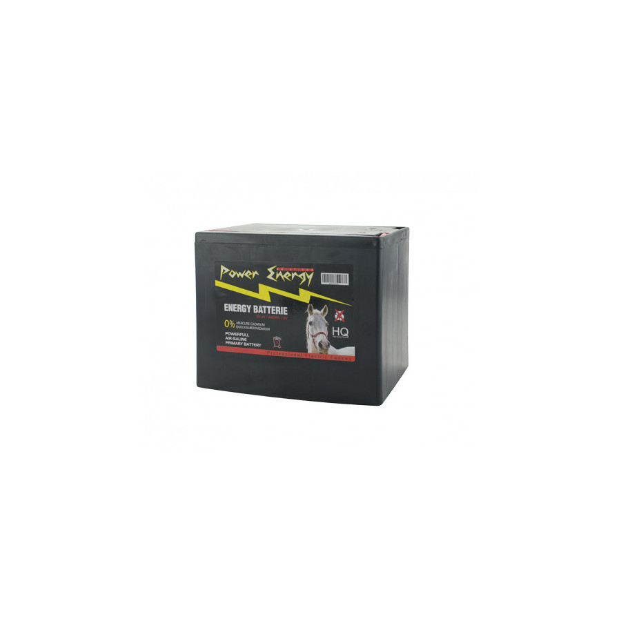 Batteria 10000h