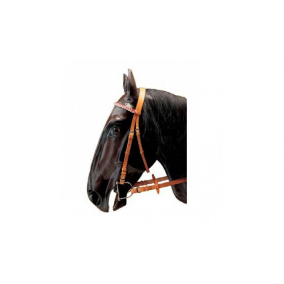 Briglia corsa Pariani