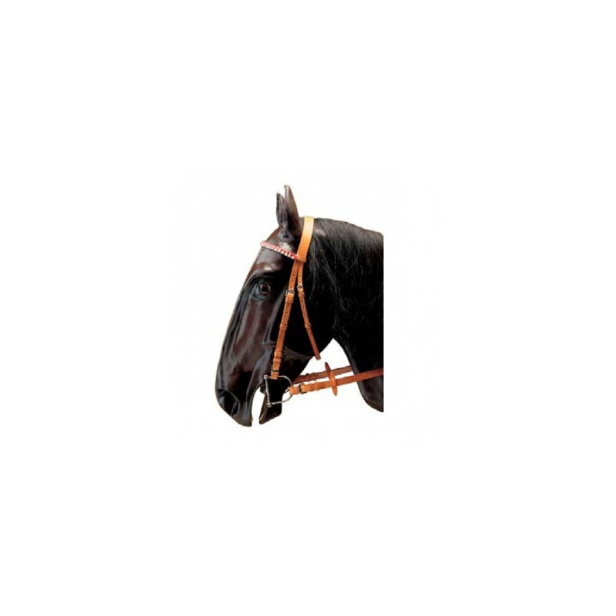 Briglia corsa Pariani