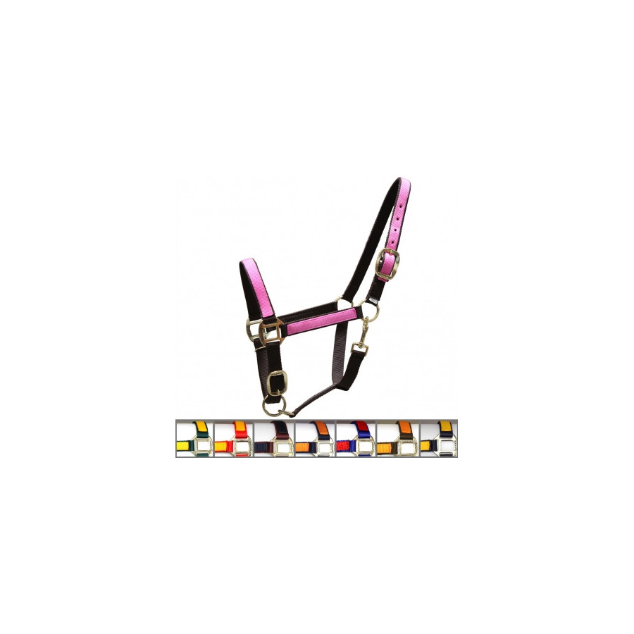 CAPEZZA NYLON COLORATA