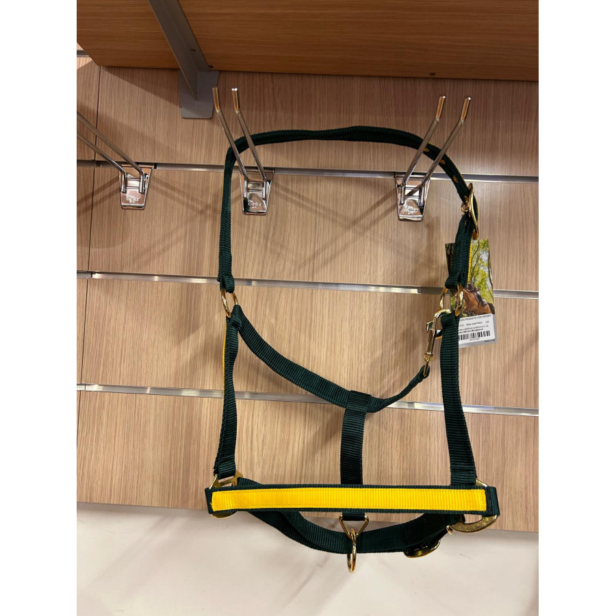 CAPEZZA NYLON COLORATA