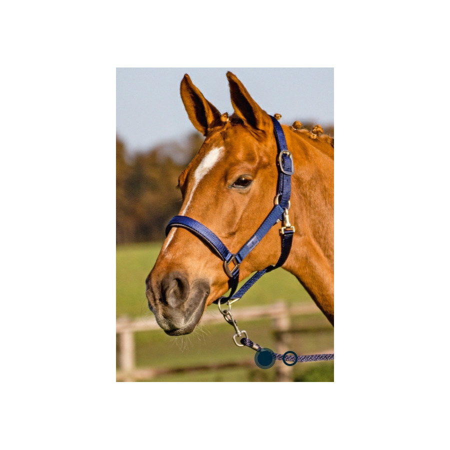 CAPEZZA NYLON FIBBIERIA SATINATA