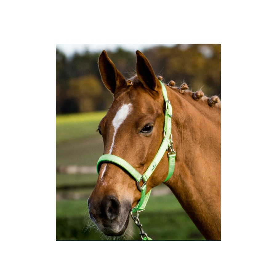 CAPEZZA NYLON FIBBIERIA SATINATA