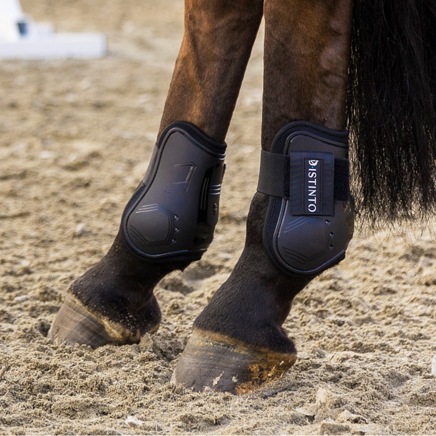 Paranocche D ISTINTO